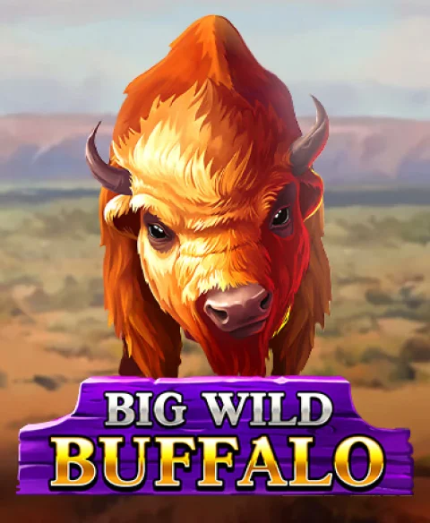 Play Big Wild Buffalo at Dr Slot Casino